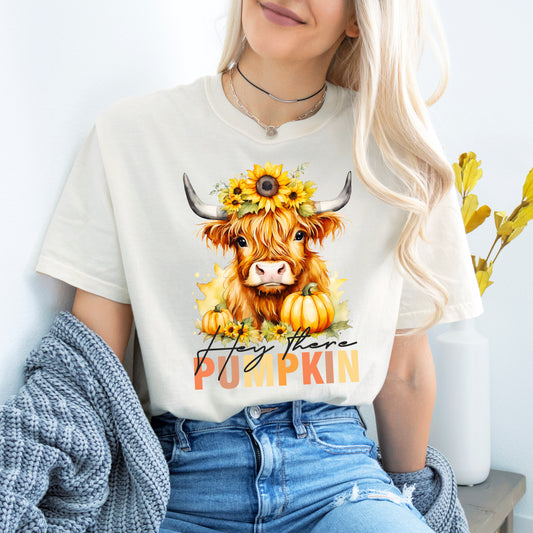 Hey There Pumpkin T-shirt