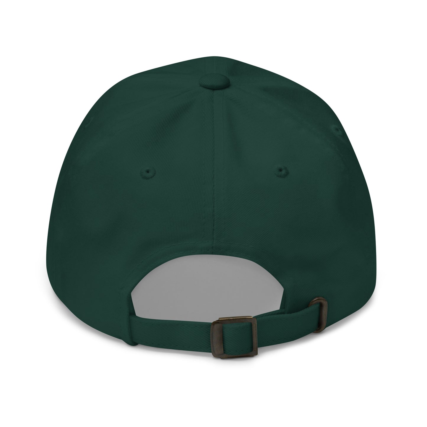 Freedom Tour Embroidered Cap